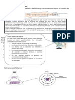 6 - Documento N°3 Él Átomo (Qui)