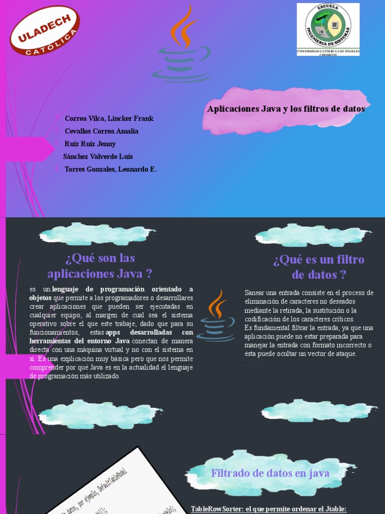 Filtros de Datos en Aplicaciones Java | PDF | Java (lenguaje de ...