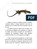 reptiles.pdf