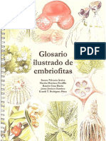 Glosario Ilustrado de Embiofitas (Susana Valencia) - Valencia