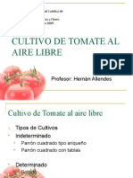 Tomate Aire Libre - Clase PUCV
