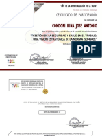 Certificado 13 PDF