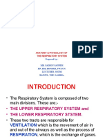 Anatomy and Physiology of the Respiratory System