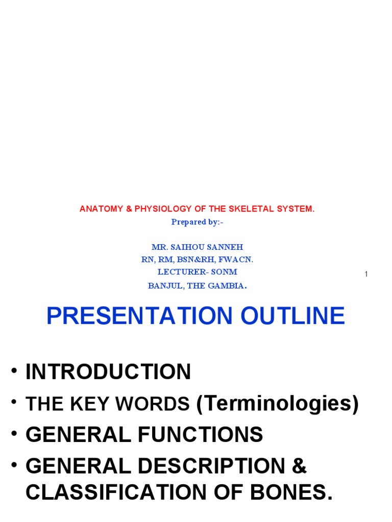 Skeletal System Anatomy Overview | PDF | Vertebra | Vertebral Column