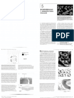 Biología - Lodish - Cap. 5