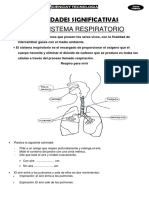 Tema Sistema Respiratorio PDF