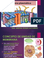 Membrana Plasmatica 2020-I Mra - S6