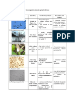 Microorganisms Grow Agricultural Crops