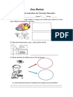 Actividad evaluativa de Órganos de los sentidos 4 c. n