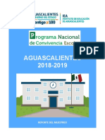 Reporte de evaluación del Programa Nacional de Convivencia Escolar en Aguascalientes 2018-2019