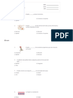 Evaluacion Formativa 8vo