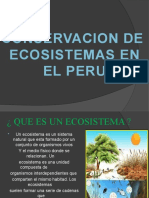 Conservacion de Ecosistemas en El Peru