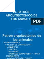 Sesion 2. El Patrón Arquitectónico de Los Animales