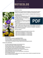 Protocolos Dioxido PDF