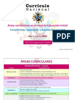 93142256-programa-curricular-de-educacion-inicial-ciclo-ii.pdf
