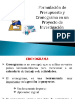 Presentacion OPS Cronograma y Presupuesto