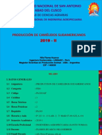 1 Csa 2019 Ii Examen 1 PDF