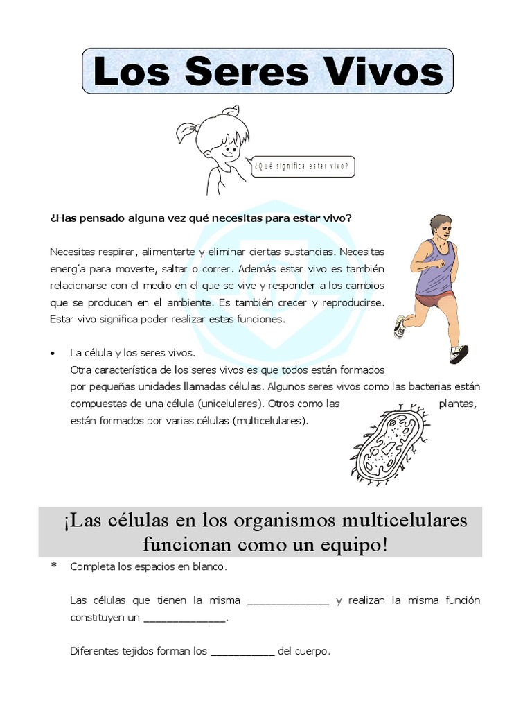 Formación de los seres vivos para niños | PDF | Organismos | Plantas