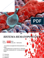 Sistema Hematopoyetico