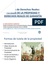 Diplomado de tutelas de propiedad y derechos reales de garantia 2019.pptx