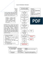 LP Thalasemia