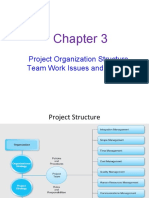 PM Context Chapter 3 Orgn and Team Issues