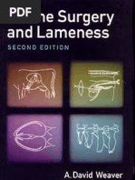 Download Bovine Surgery and Lameness Second Edition by Frontline0712 SN47113415 doc pdf