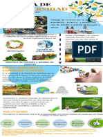 Infografía en PDF