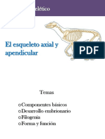 Esqueleto Axial y Apendicular