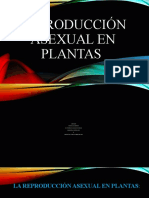 Reproducción asexual en plantas