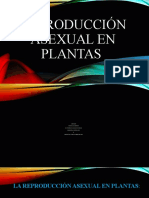 Reproducción Asexual en Plantas