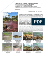 842_colombia_fishes_of_inirida_y_guaviare.pdf