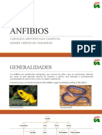 Anfibios Colombia 40 especies