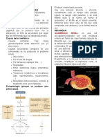 Clase 4 de Renal - Final