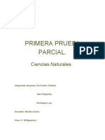 Primera Prueba Parcial CC - NN