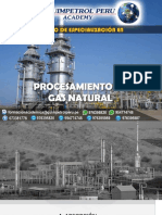 Procesamiento Gas Natural