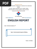 English Report