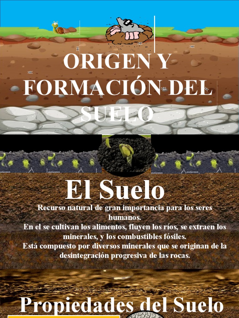 Origen y Formación Del Suelo | PDF | Roca (geología) | Suelo