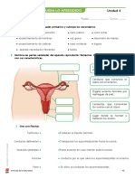 Repaso Naturales Tema 4