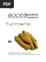 Gap Turmeric 1