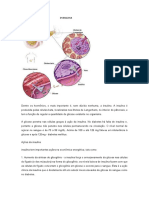 Bioquimica Aplicada INSULINA