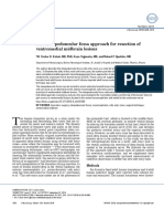 Interpeduncular Fossa PDF