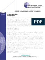 Los - Modelos - de - Colaboracion - Empresarial Por Carlos A. Mejía