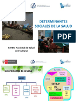 Determinantes Sociales de La Salud PDF