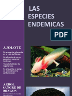 Esecies Endemicas