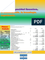 EMPRESA, Capacidad Financiera PDF