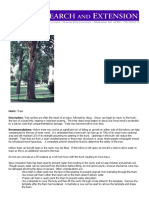 Tree Cavity Causes and Care