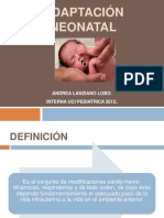 Adaptacion Neonatal
