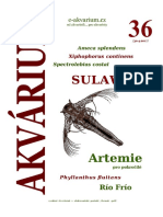Akvárium 36 PDF