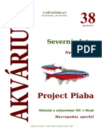 Akvárium 38 PDF